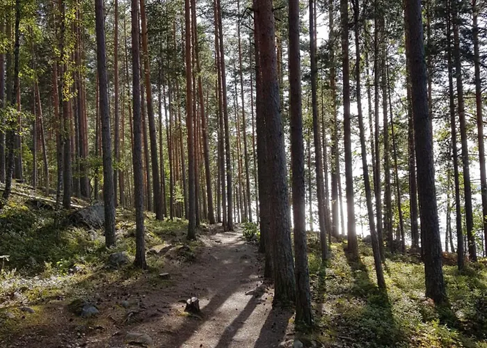 船上ホテル Saunalautta Sisu イマトラ