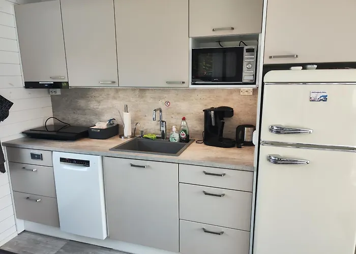 Saunalautta Sisu 船上ホテル イマトラ